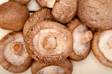 Image showing shiitake mushrooms