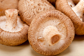 Image showing shiitake mushrooms