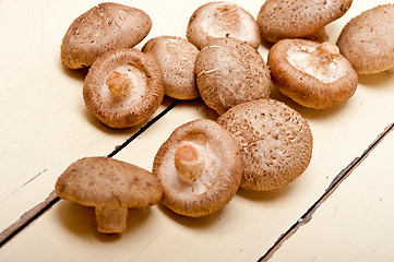 Image showing shiitake mushrooms