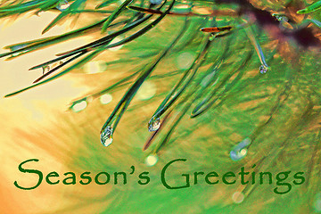 Image showing Christmas Greeting with Spruce Tree Needles and Dew Drops