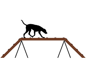 Image showing Dog training