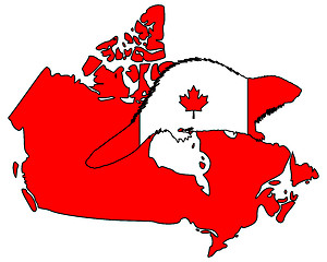 Image showing Canadian Beaver