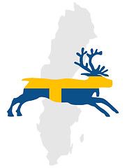 Image showing Swedish reindeer