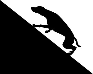 Image showing Dog runs uphill