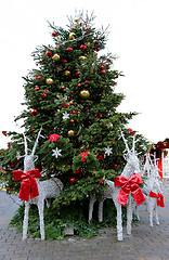 Image showing Christmas tree