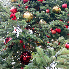 Image showing Christmas tree