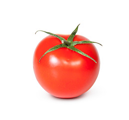 Image showing One Fresh Red Tomato