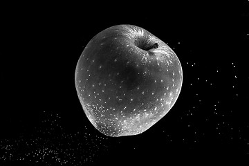 Image showing Small apple in see trough water