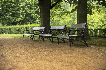 Image showing Stylish bench in autumn park