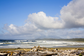 Image showing tofino beach