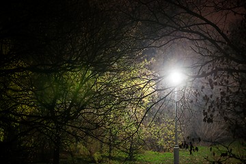 Image showing Creepy park at night with illumination