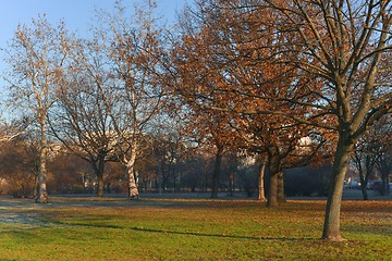 Image showing Autumnal Park