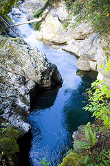 Image showing tofino river