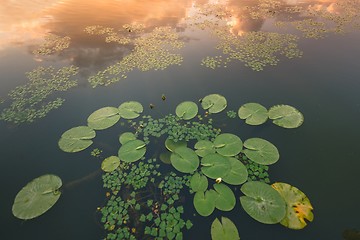 Image showing Peaceful place at the pond