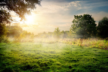 Image showing Clearing in the forest