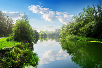 Image showing River in the summer