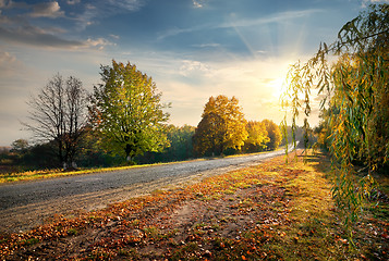 Image showing Road and autumn