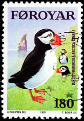 Image showing Atlantic Puffin