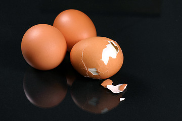 Image showing fresh egg