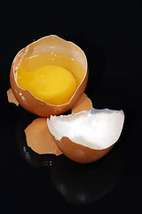 Image showing fresh egg