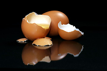 Image showing fresh egg