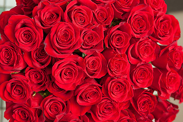 Image showing red roses