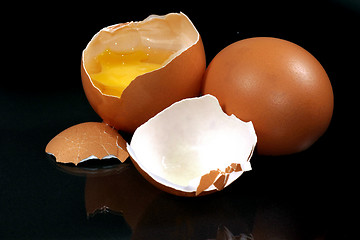 Image showing fresh egg