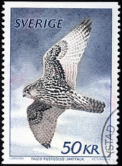 Image showing Gyrfalcon Stamp