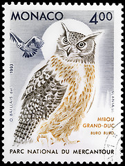 Image showing Indian Great Horned Owl