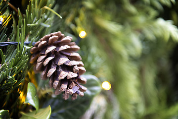 Image showing Decoration pine cone Christmas Market