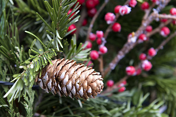 Image showing Decoration pine cone Christmas Market