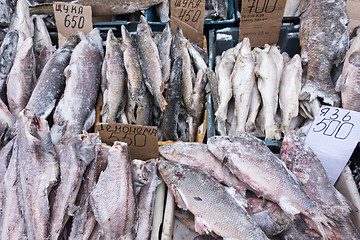 Image showing raw fish