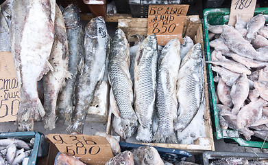 Image showing raw fish