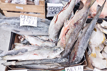 Image showing raw fish