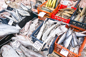 Image showing raw fish