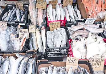 Image showing raw fish