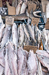 Image showing raw fish