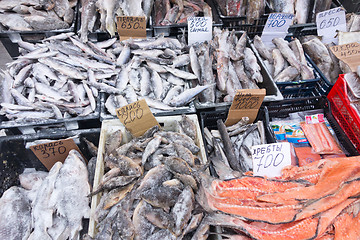 Image showing raw fish