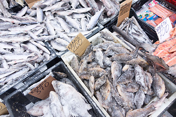 Image showing raw fish