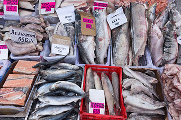 Image showing raw fish