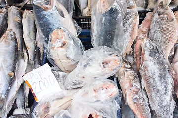 Image showing frozen fish