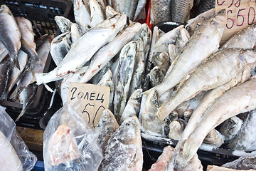 Image showing raw fish