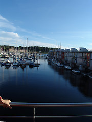 Image showing marina