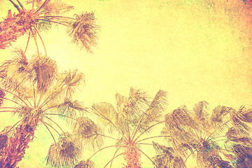 Image showing vintage palm background