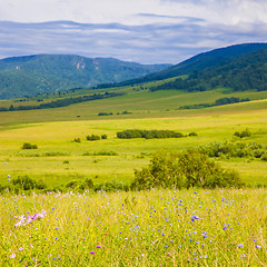 Image showing field and blue sky