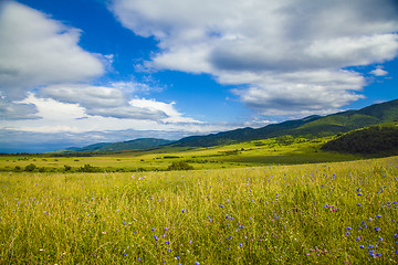 Image showing field and blue sky