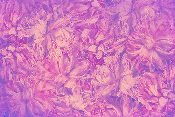 Image showing vintage background with asters