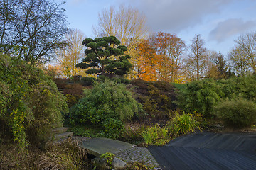 Image showing Japanese Garden in Autumn