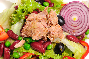 Image showing Tuna and vegetable salad