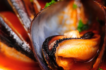 Image showing Mussels in italian rustic style